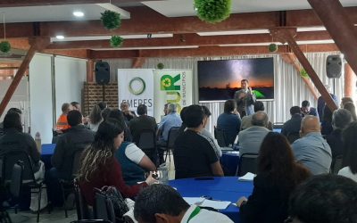 Comité Técnico conjunto Emeres – Msur